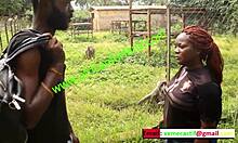 מפגש חם בגן החיות של הכפר - Mboa xvideos מציע ייחודי